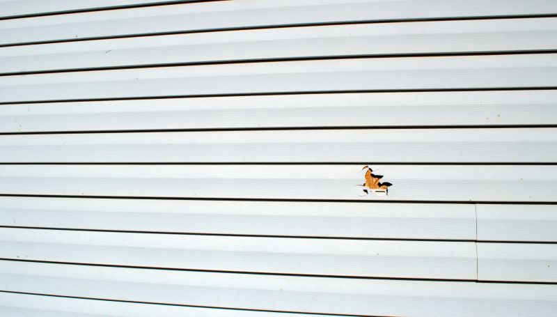 Repair Work on Siding